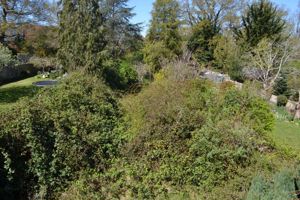 Garden- click for photo gallery